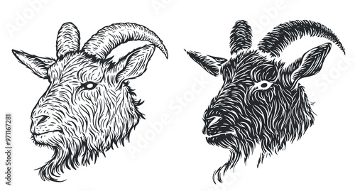 Black goat head in hand drawn sketch style. Monochrome silhouette animal for tattoo, print, branding. Vector illustration.