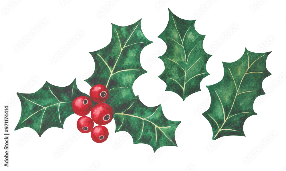 Set of Christmas watercolor illustrations of hand-drawn holly leaves and berries. Christmas plant holly painted in watercolor. Perfect for cozy holiday decor. Set of Christmas watercolor illustrations of hand-drawn holly leaves and berries. Christmas plant holly painted in watercolor. Perfect for cozy holiday decor.