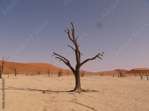 Deadvlei in Sossusvlei in Namibia