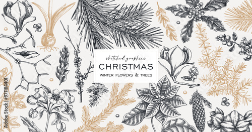 Vintage Christmas banner design. Winter plants background. Conifer trees, winter flowers, berry sketches. Hand-drawn vector illustration. NOT AI generated