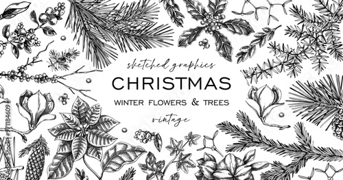Merry Christmas background. Winter botany frame design. Conifer trees, winter flowers, evergreen plants sketches. Hand-drawn vector illustration. NOT AI generated