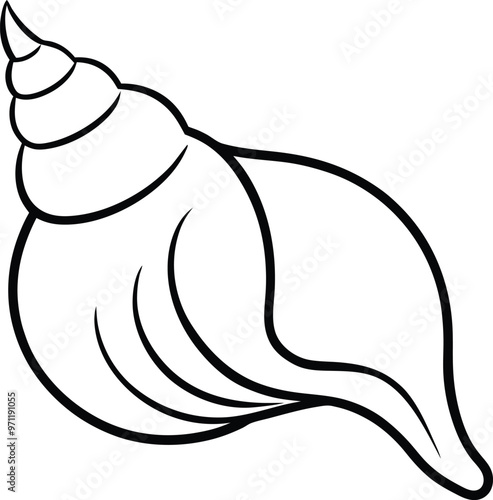 Magical Conch Shells Colorful Vector Fun for Kids
