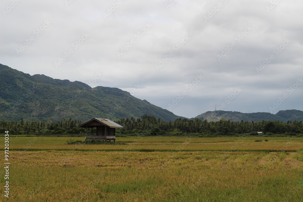 Obraz premium landscape with house