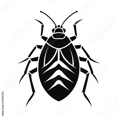 Black Bedbug Silhouette vector art , Bedbug illustration 