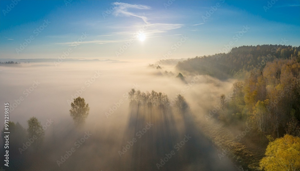 Early Morning Sunrise Fog Forest Trees Standing Out of the Fog Autumn Fog. Early Morning Sunrise Fog Forest Trees Standing Out of the Fog Autumn Fog.