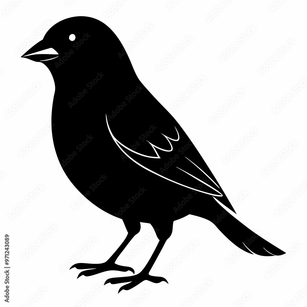 Fototapeta premium Canary Bird Black silhouette