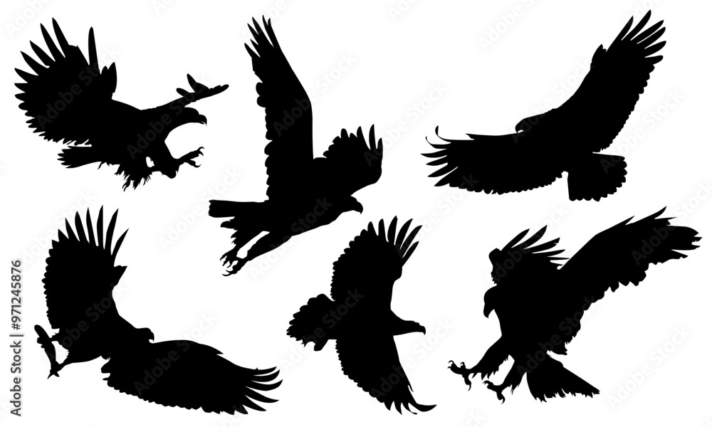 Obraz premium Animals eagle hawk bird fly swoop attack silhouette set collection on white background vector