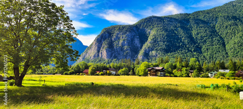 A bright summer day in Obertraun, Austria, showcasing a vibrant green field, a large tree, and majestic mountains in the background. The idyllic landscape captures the beauty of nature in this serene  photo