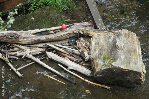 Müll im Naturschutzgebiet photo