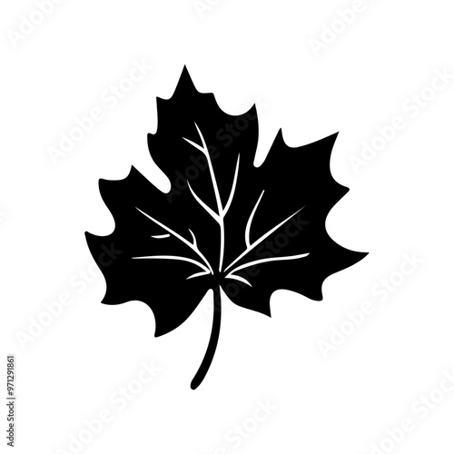 Vector black maple leaf silhouette isolated on white background	
