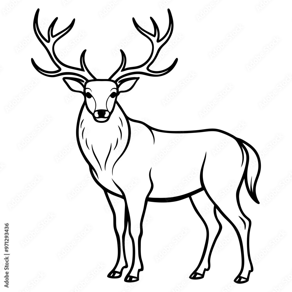 Fototapeta premium Hand draw Deer vector, line art, silhouette ,black and white