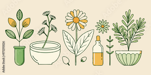 Minimalist Line Art of Medicinal Herbs - Chamomile, Mint, Sage Illustrations
