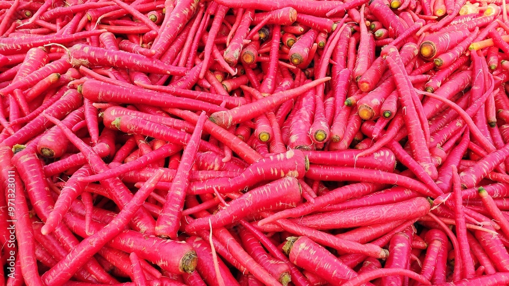 Red juicy carrots, carrot harvesting, 