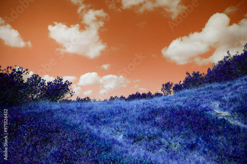 color look of a beautiful landscape, blue and orange colors