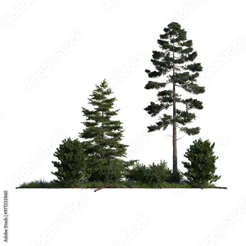forest various tree and plant spring isolated transparent background