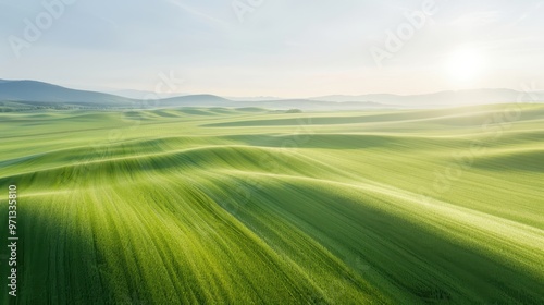 Lush Green Hills, undulating fields stretch under a soft morning light, creating waves of vibrant greenery against a tranquil sky, evoking serenity and natures beauty.