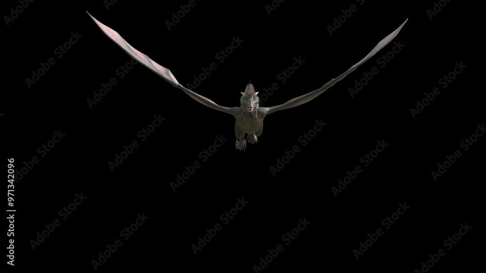 Animation of a flying and roaring fantasy dragon. Dragon on isolated background. Animation for fantasy backgrounds.