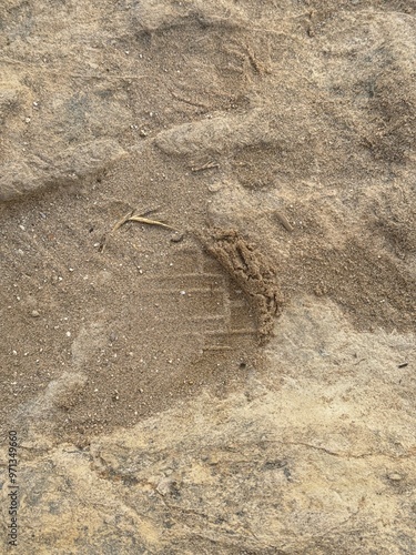 tracks in sand