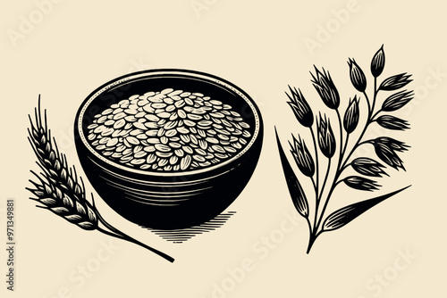 Peeled oatmeal in a bowl. Oat plant. Vintage old engraving vector illustration