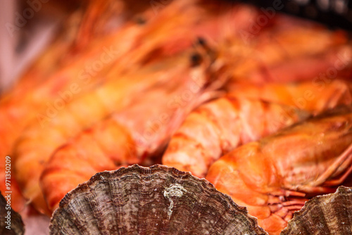 Lively red shrimps arranged...