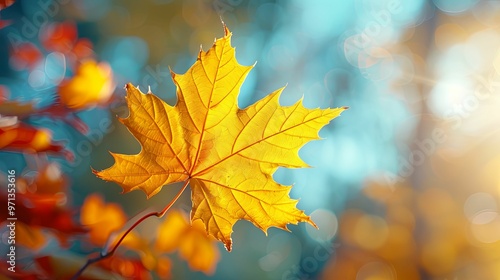 Single Golden Maple Leaf Against a Blurry Background of Nature