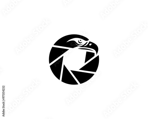 eagle camera vector template