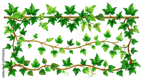 Ivy vines with green leaves, creepers branches with foliage isolated on white background. Vector realistic set of horizontal borders of greenery, climbing plants