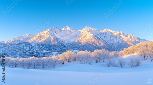 Wallpaper Mural Snow-Covered Mountains Under Clear Blue Sky Torontodigital.ca