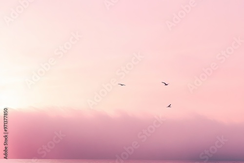 a flock of birds flying over a body of water