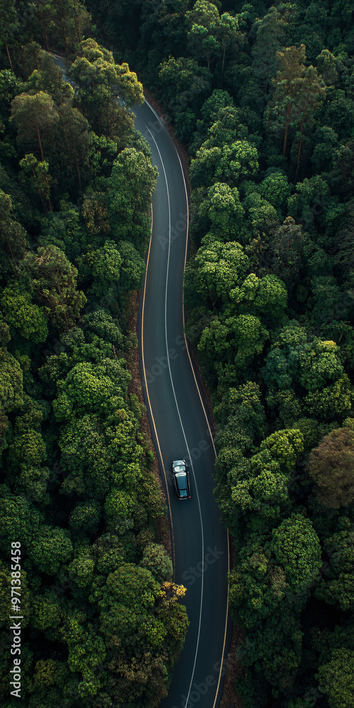 Top down view of curvy, asphalt road surrounded by bunch of evergreen trees. car driving on the road. Beautiful aerial view of dense forest mountain landscape in summer time with curvy road cutting th Top down view of curvy, asphalt road surrounded by bunch of evergreen trees. car driving on the road. Beautiful aerial view of dense forest mountain landscape in summer time with curvy road cutting th