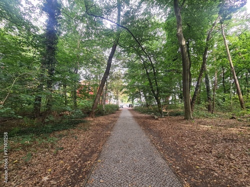 nature path in Berlin Grünau / Treptow - Köpenick photo