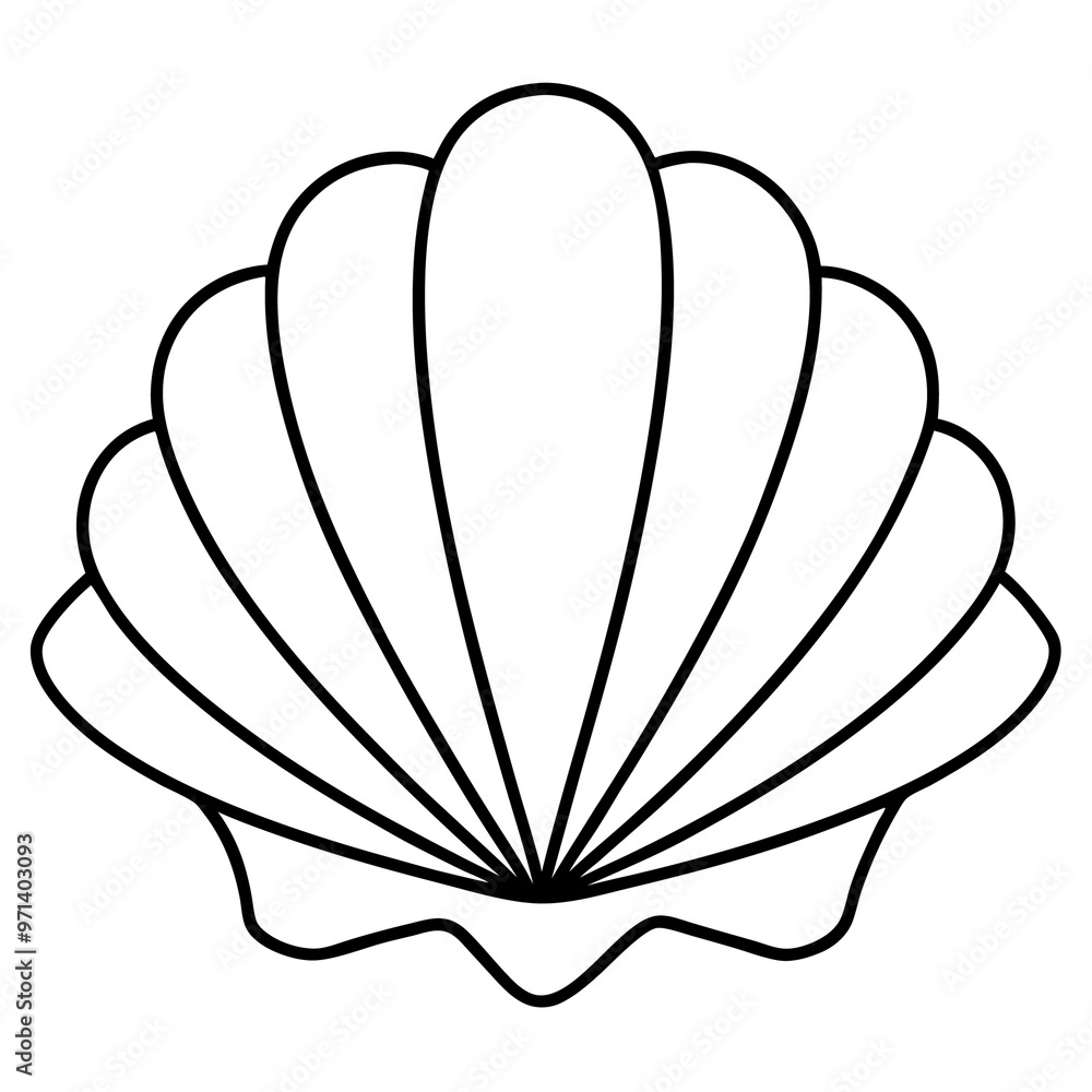 seashell outline coloring book page line art drawing seashell outline coloring book page line art drawing
