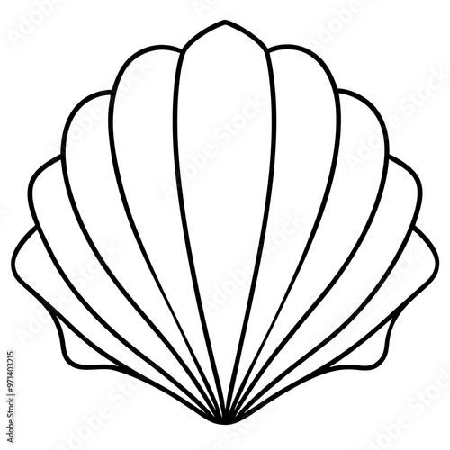 seashell outline coloring book page line art drawing