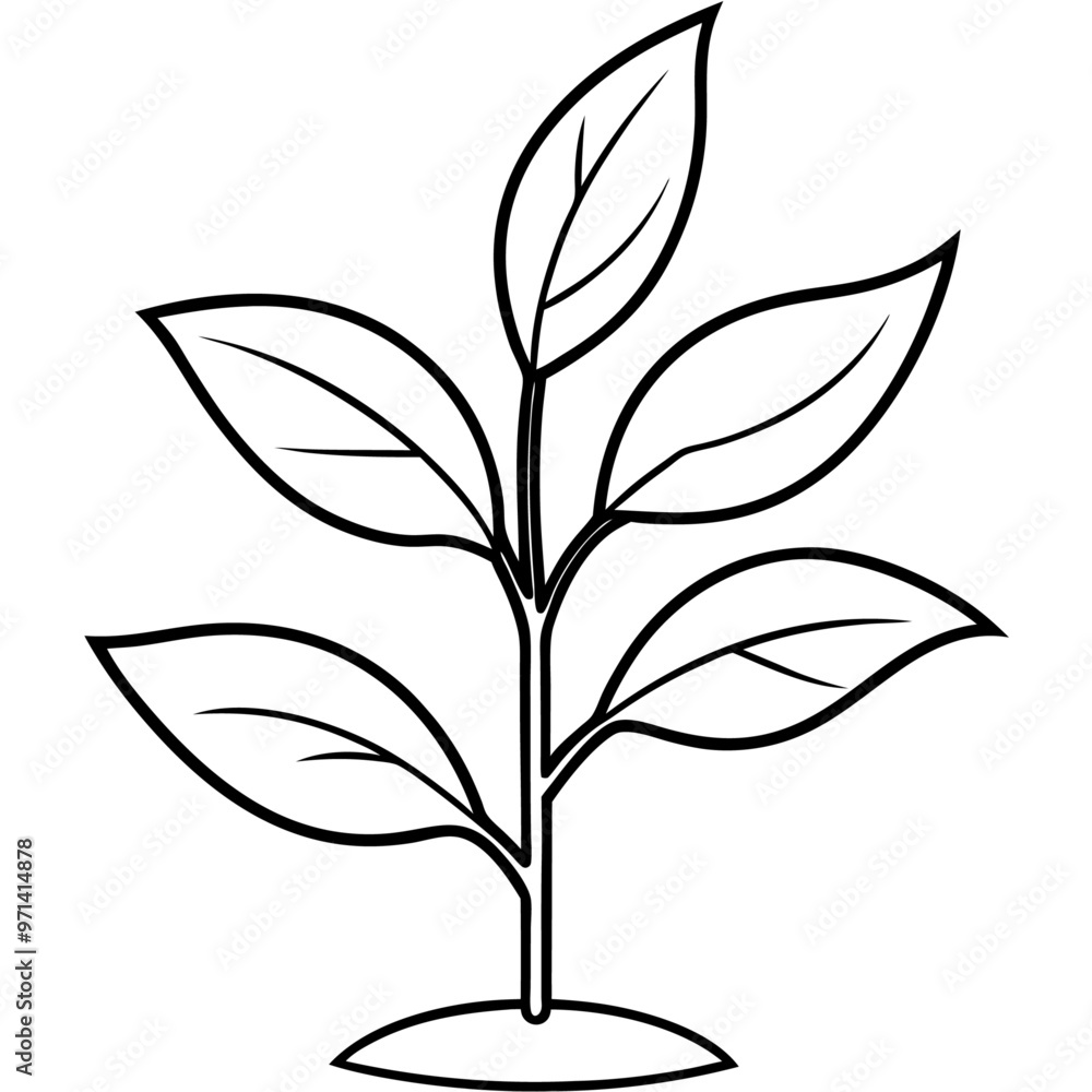 seeding plant outline coloring book page line art drawing seeding plant outline coloring book page line art drawing