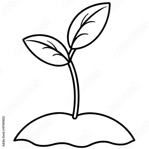 seeding plant outline coloring book page line art drawing