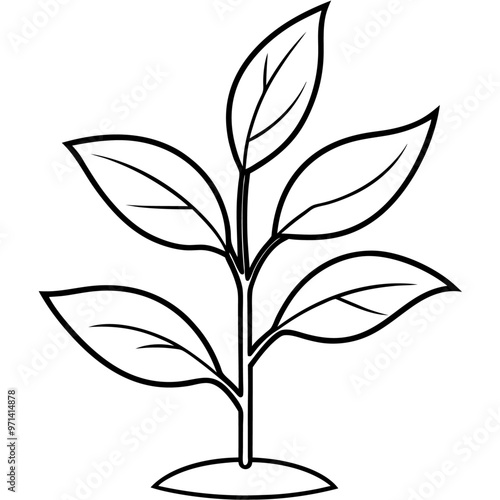 seeding plant outline coloring book page line art drawing