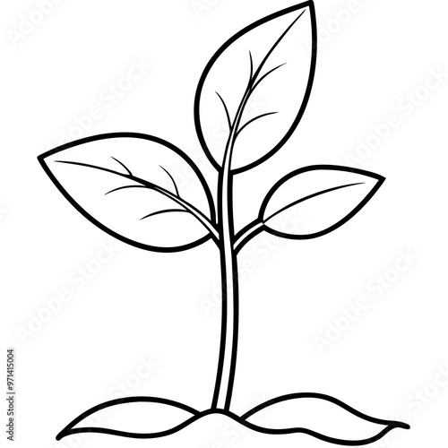 seeding plant outline coloring book page line art drawing
