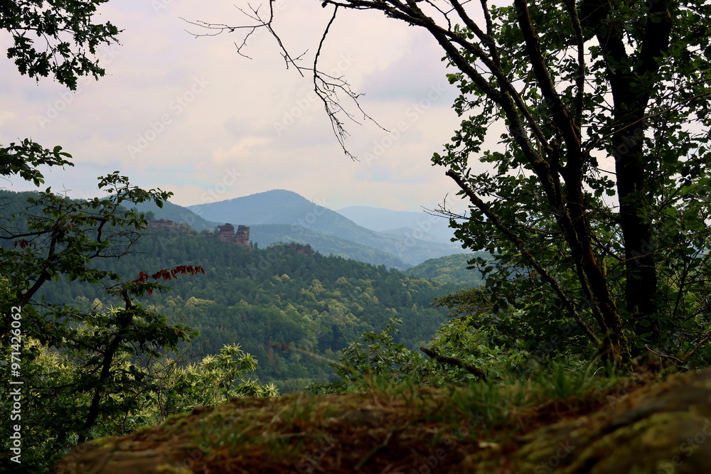 Aussicht vom Dimberg bei Dimbach in den nebligen Pfälzerwald in Richtung Lug und der Geiersteine im Sommer. Aussicht vom Premium-Wanderweg Dimbacher Buntsandstein Höhenweg. Aussicht vom Dimberg bei Dimbach in den nebligen Pfälzerwald in Richtung Lug und der Geiersteine im Sommer. Aussicht vom Premium-Wanderweg Dimbacher Buntsandstein Höhenweg.