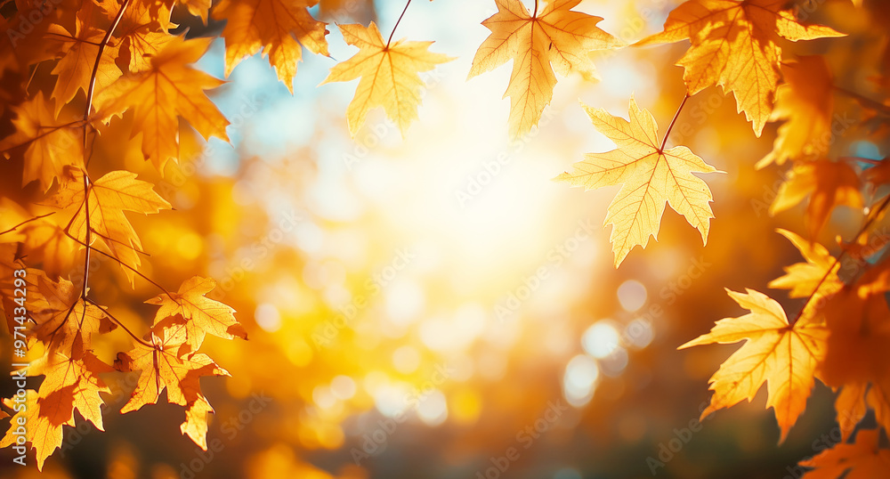 Colorful background with autumn twigs and leaves on a blurred sunny backdrop Colorful background with autumn twigs and leaves on a blurred sunny backdrop