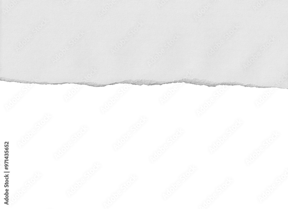 torn paper texture edge tear torn paper texture edge tear