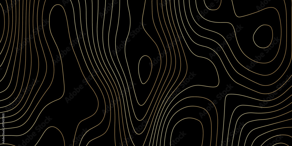 Fototapeta premium Abstract wave paper curved reliefs background .gradient multicolor wave curve lines banner background design .topographic contours map background .Vector geographic contour map. 