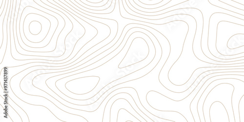 Abstract wave paper curved reliefs background .gradient multicolor wave curve lines banner background design .topographic contours map background .Vector geographic contour map.	