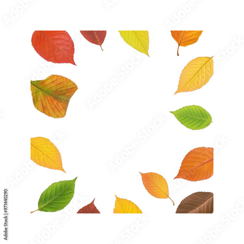 Autumn Leaf Border with Copy Space