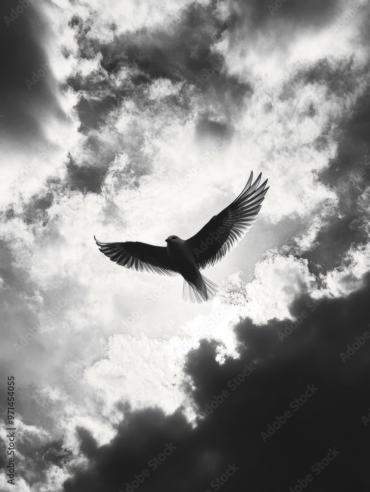 Obraz premium Bird in flight