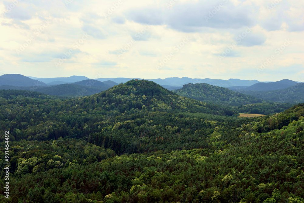 Fototapeta premium Aussicht vom Rötzenfelsen bei Dimbach in den Pfälzerwald im Sommer. Aussicht vom Premium-Wanderweg Dimbacher Buntsandstein Höhenweg.