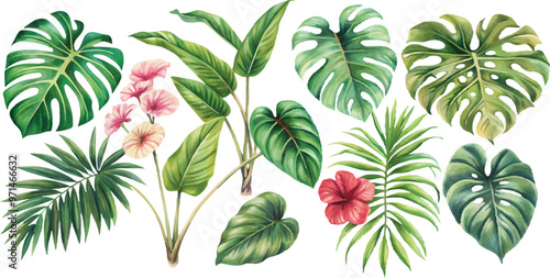 A set of exotic tropical leaves and flowers of plumeria hibiscus strelitzia