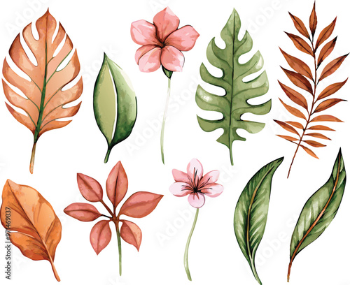 A set of exotic tropical leaves and flowers of plumeria hibiscus strelitzia