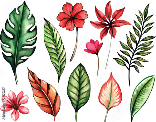 A set of exotic tropical leaves and flowers of plumeria hibiscus strelitzia