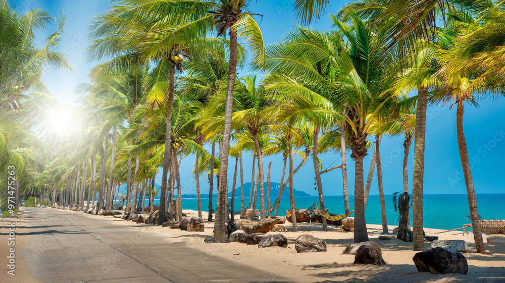 Naklejka premium Coconut palm tree on the tropical beach at daytime.