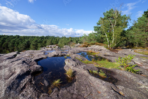 Marie Stuart point of view in The Franchard gorges. Fontainebleau forest photo